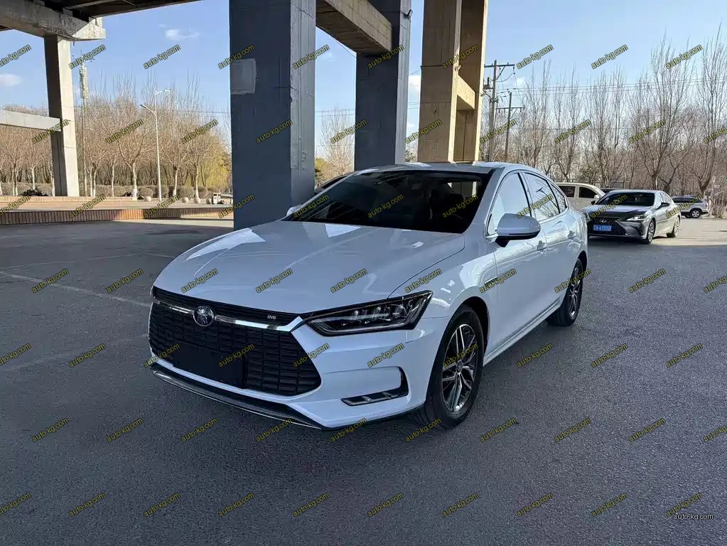 BYD Qin Pro NEV 2020