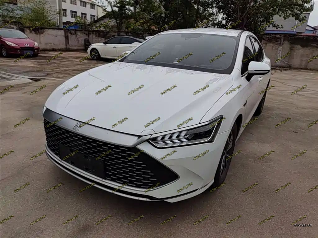 BYD Qin PLUS 2023