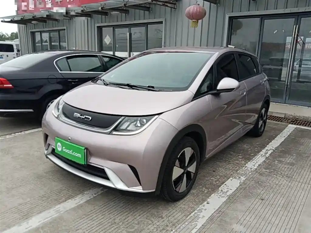 BYD Dolphin 2023