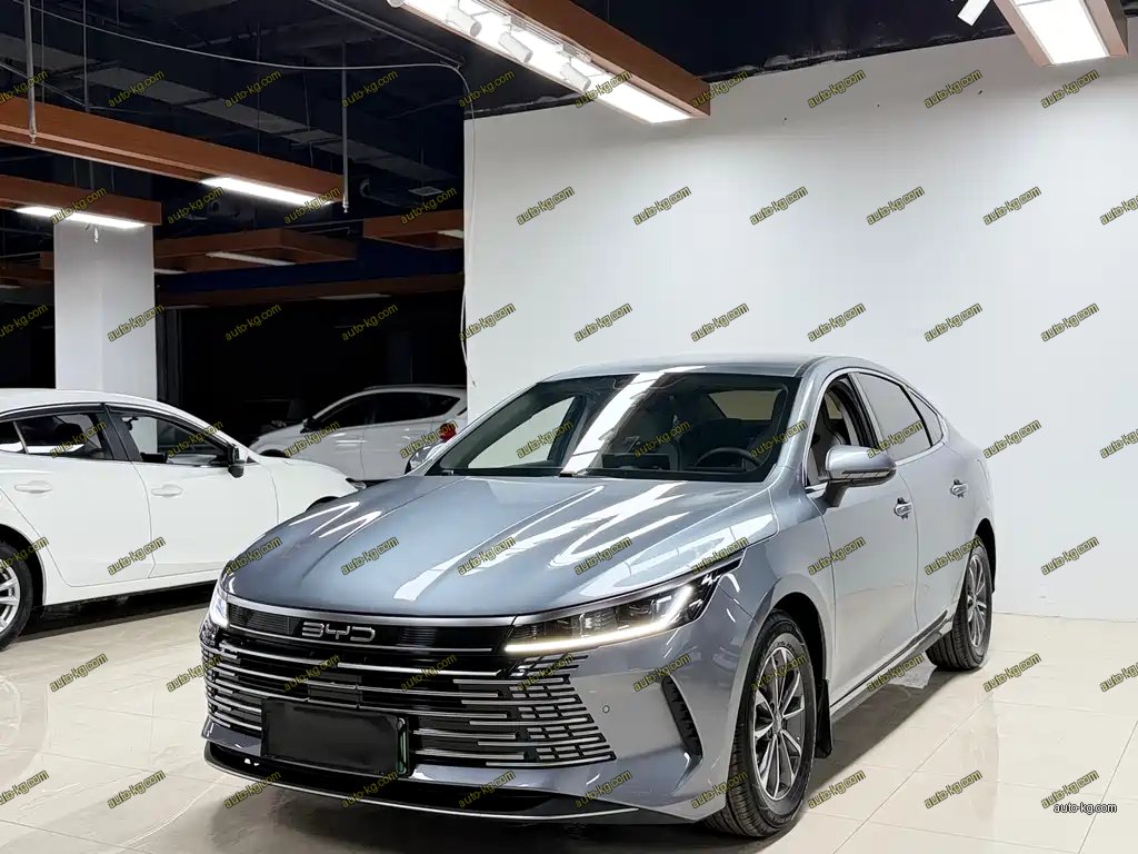 BYD Destroyer 05 2024