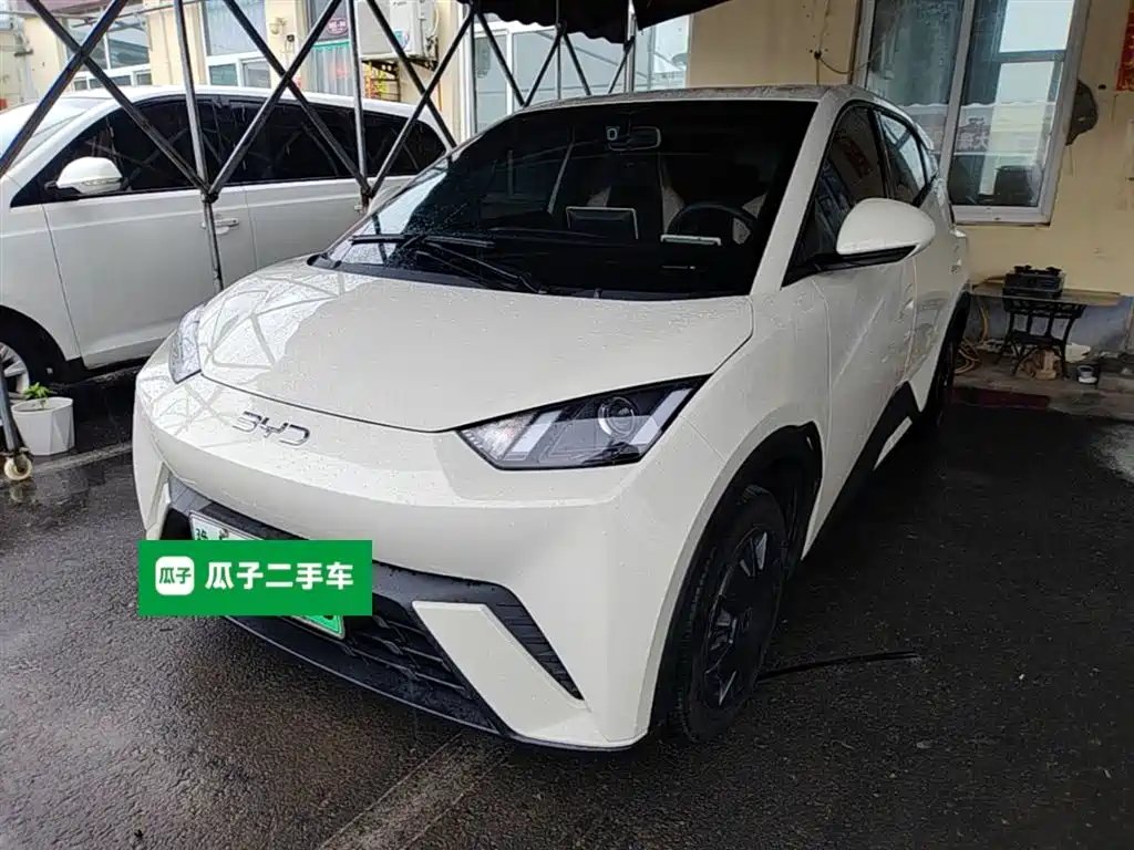 BYD Seagull 2024