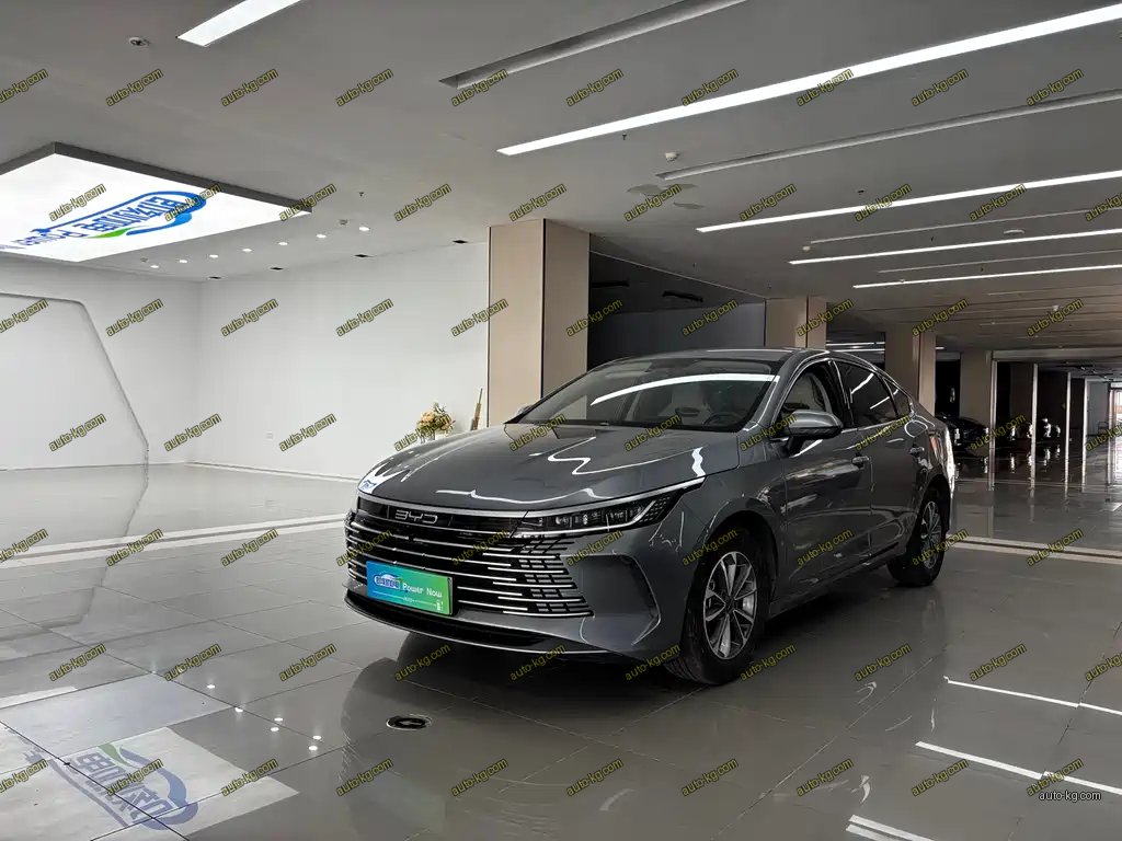 BYD Destroyer 05 2024