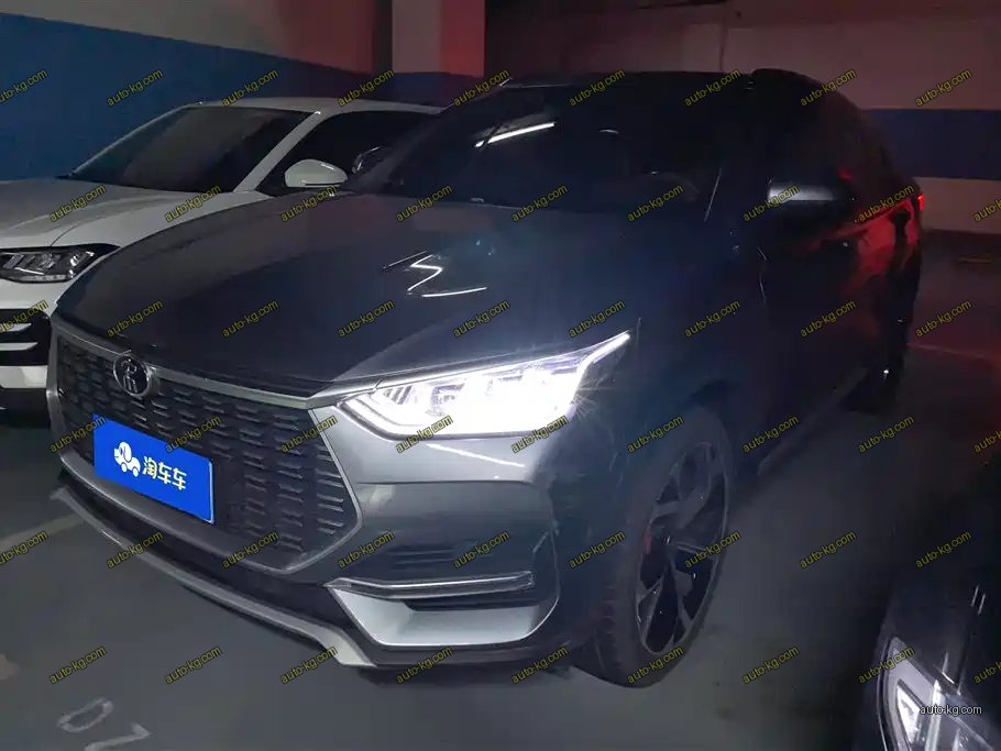 BYD PLUS 2020
