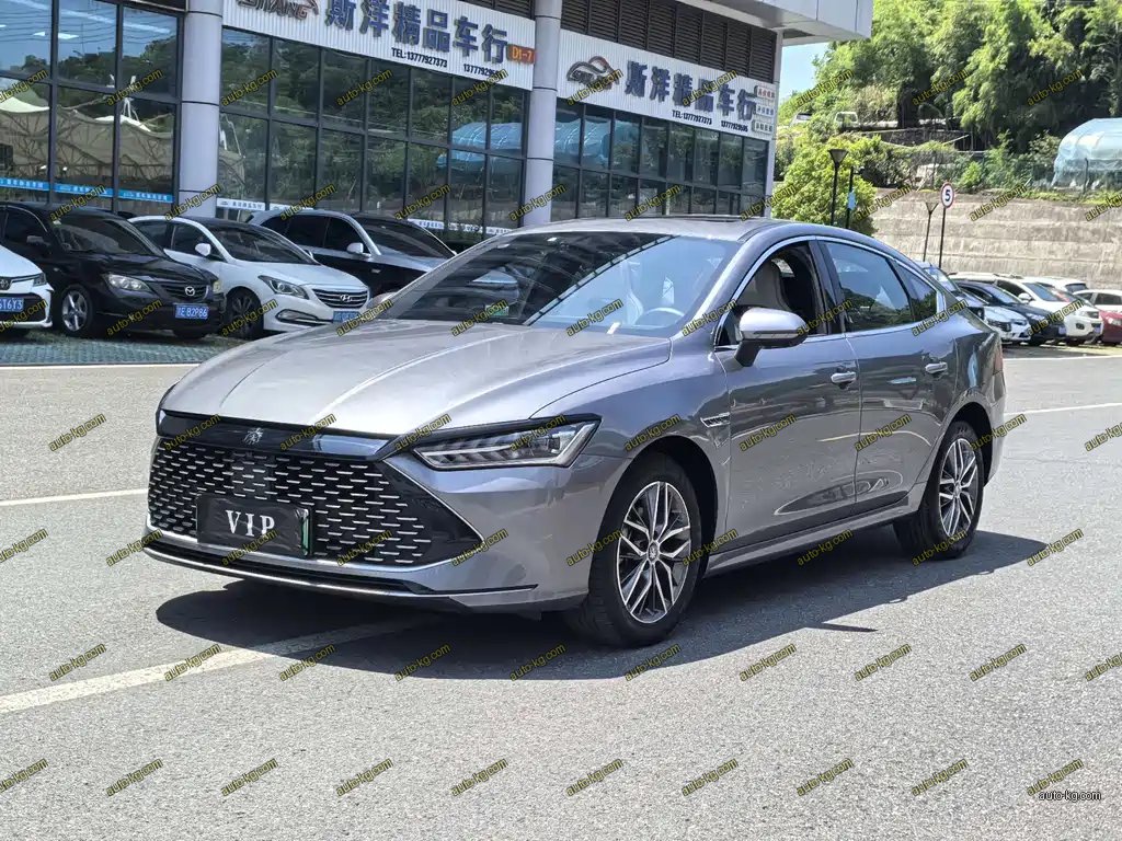 BYD Qin PLUS 2024