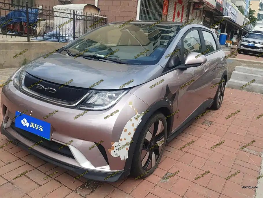 BYD Dolphin 2021