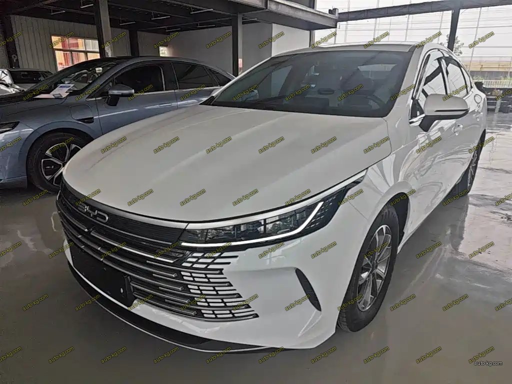 BYD Destroyer 05 2024