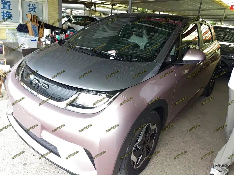 BYD Dolphin 2022