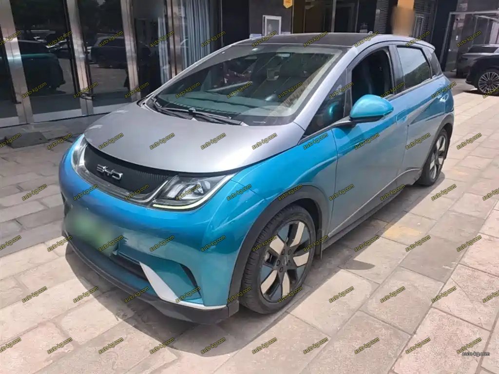 BYD Dolphin 2022