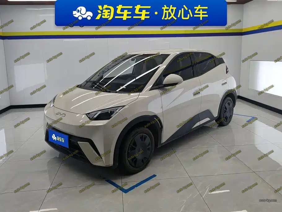 BYD Seagull 2025