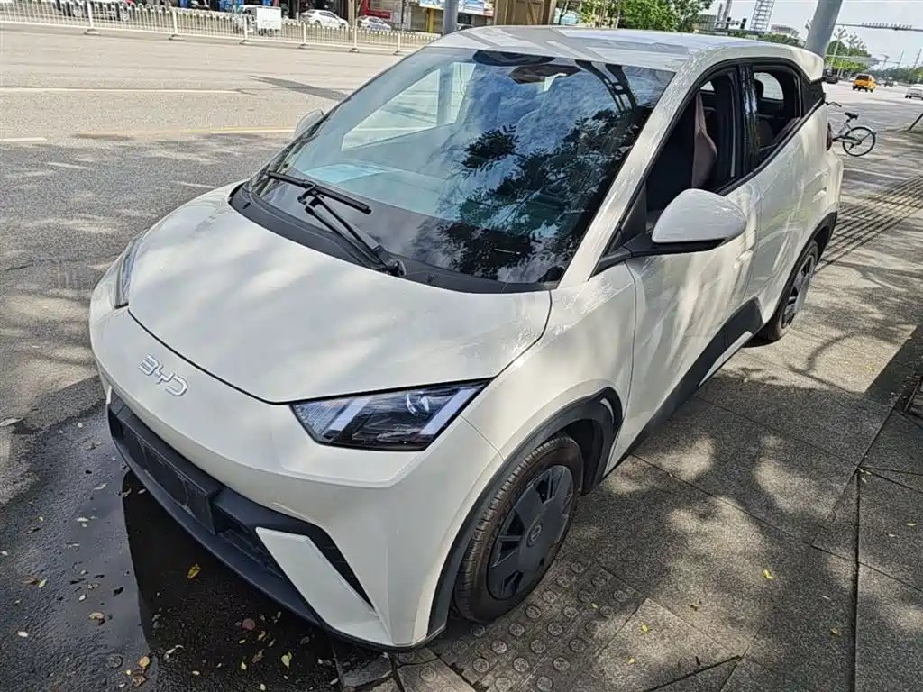 BYD Seagull 2024