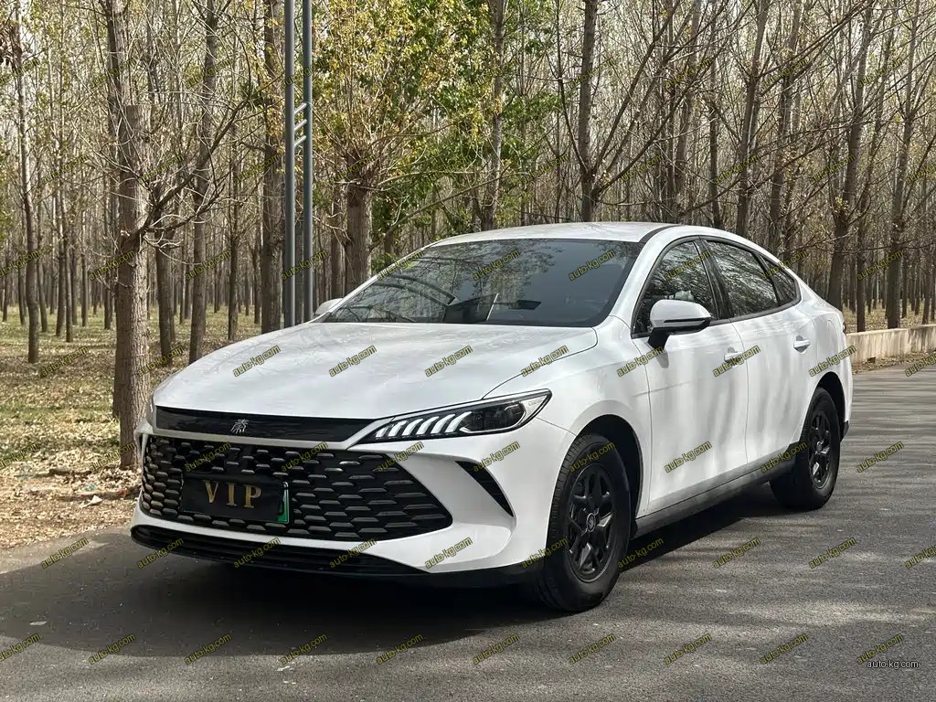 BYD Qin PLUS 2025