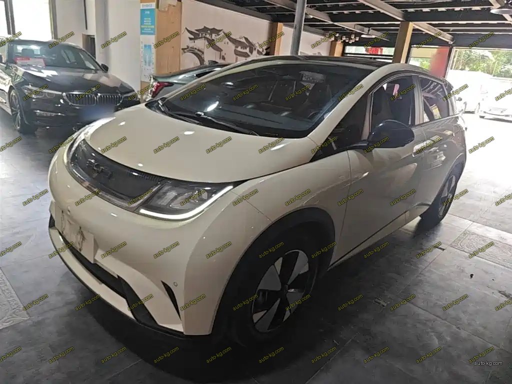 BYD Dolphin 2023