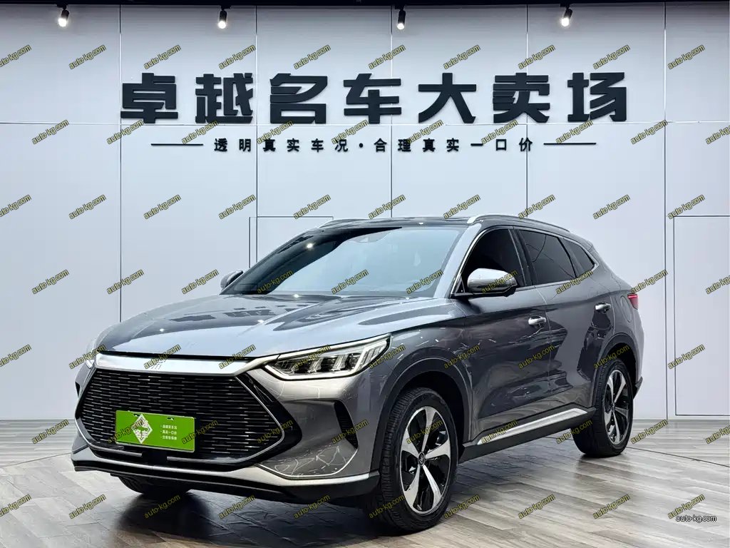 BYD PLUS New Energy 2022