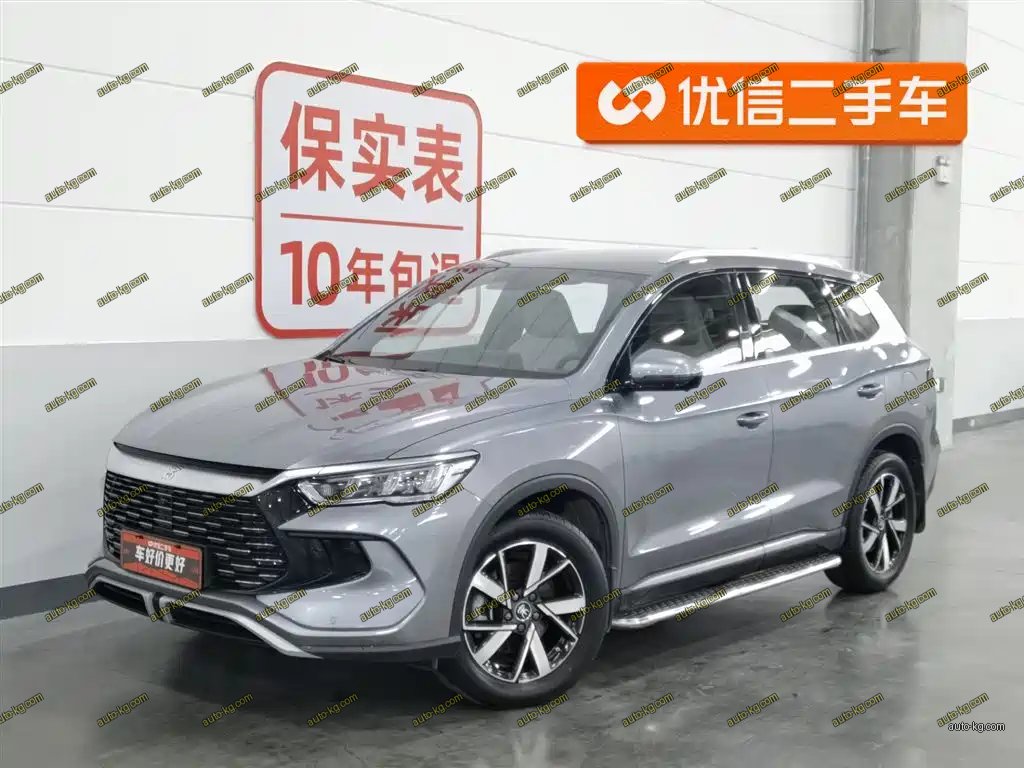 BYD Pro New Energy 2024