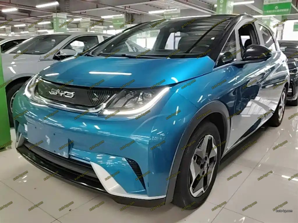 BYD Dolphin 2022