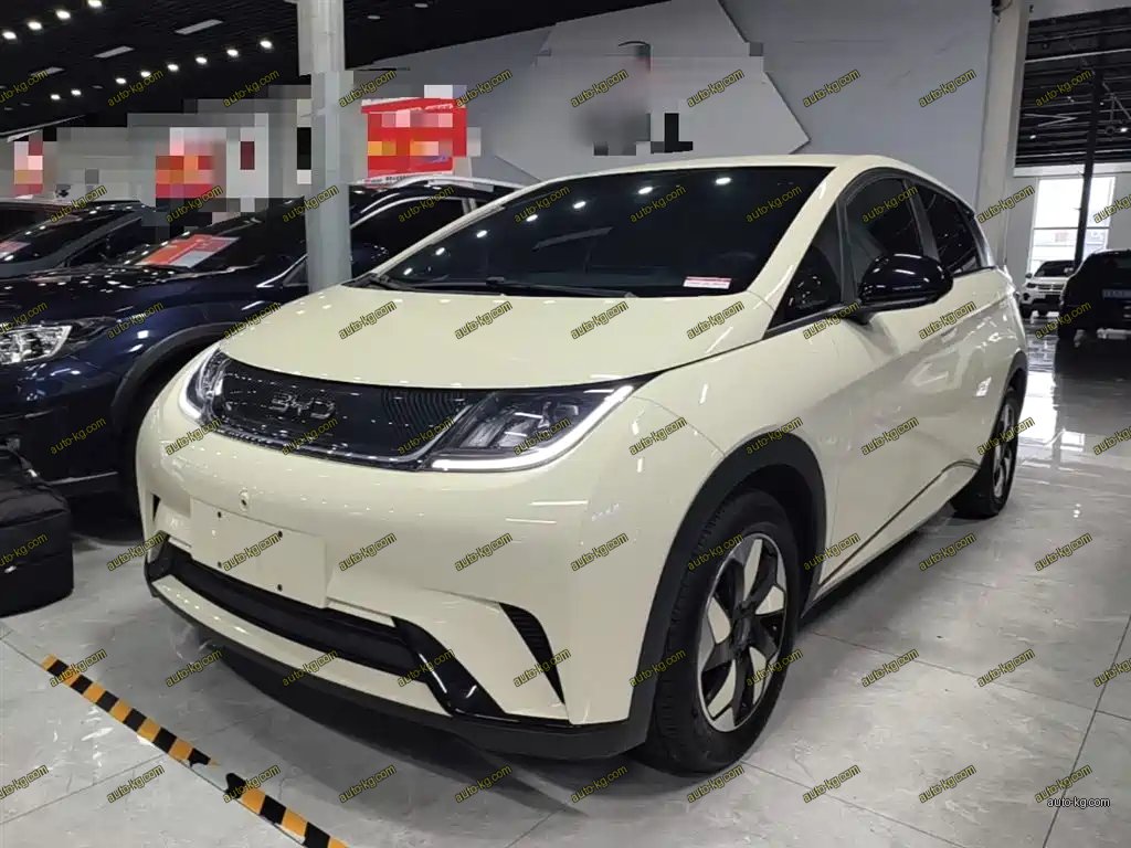 BYD Dolphin 2025