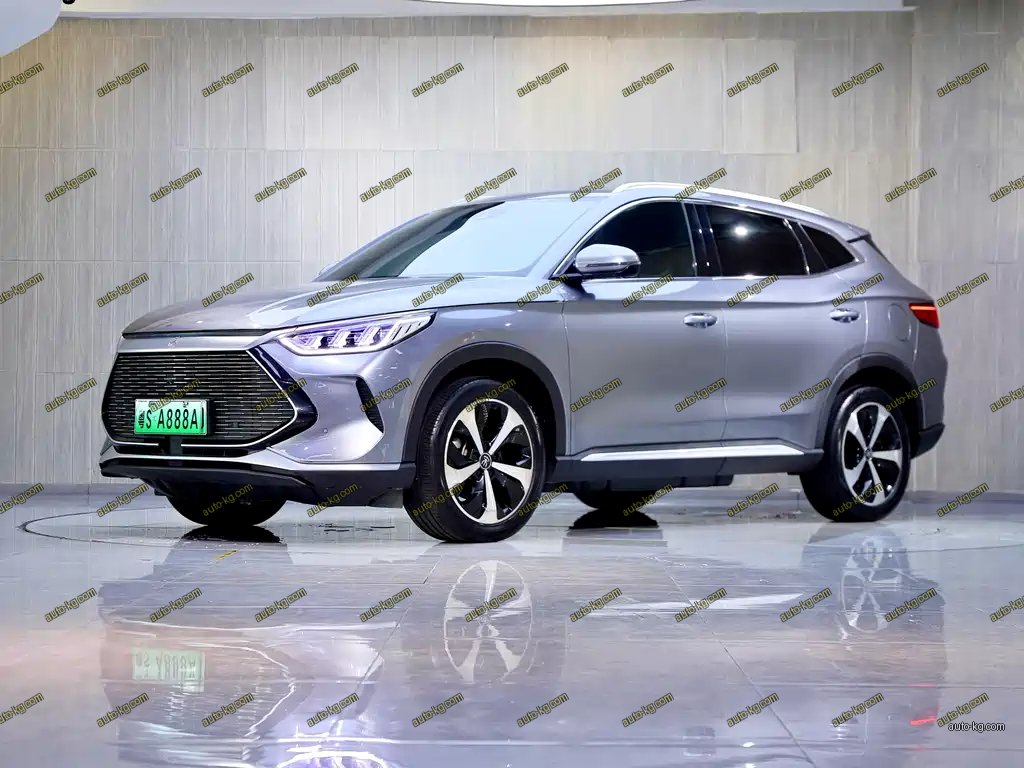 BYD PLUS New Energy 2022