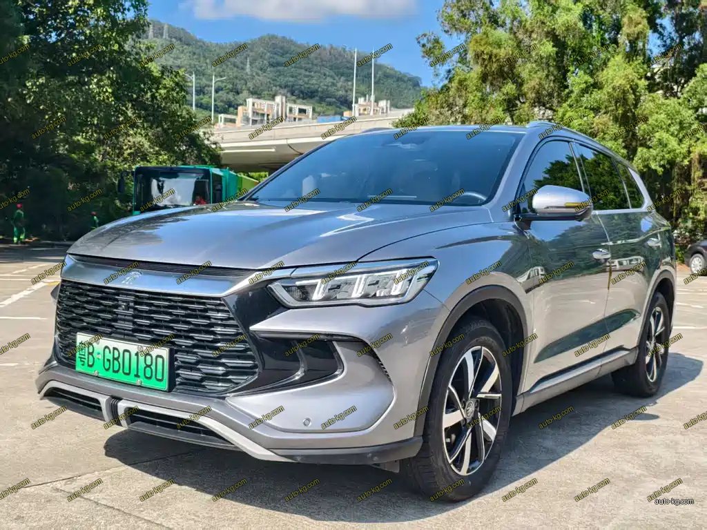 BYD Pro New Energy 2023