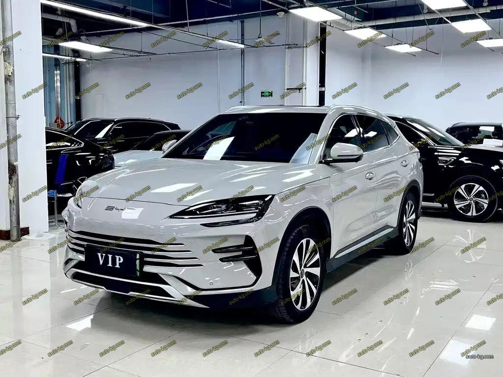 BYD PLUS New Energy 2024