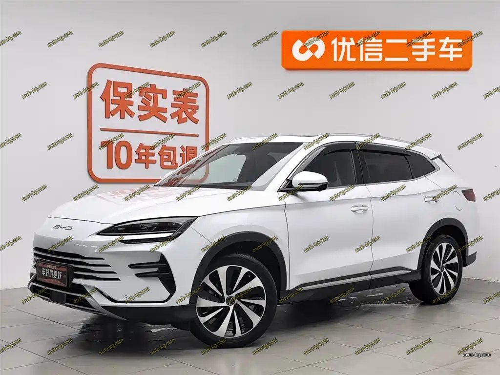 BYD PLUS New Energy 2024
