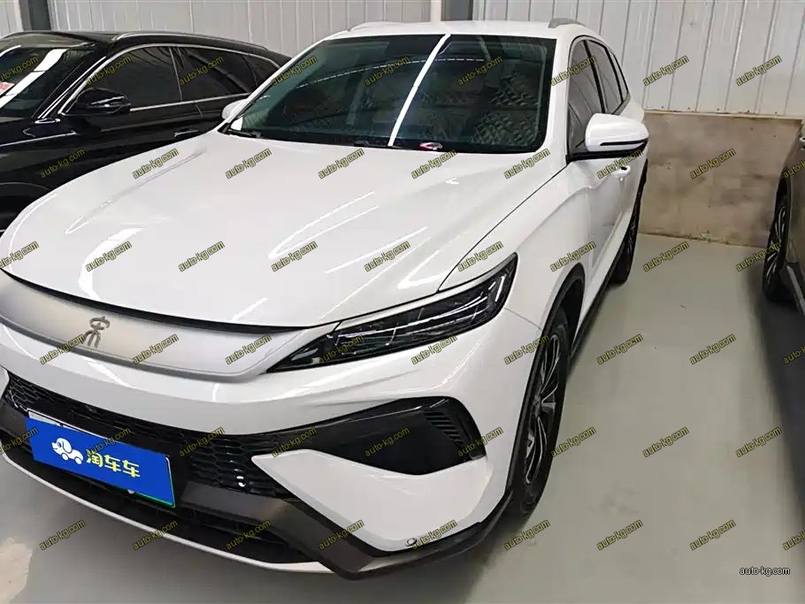 BYD Pro New Energy 2025