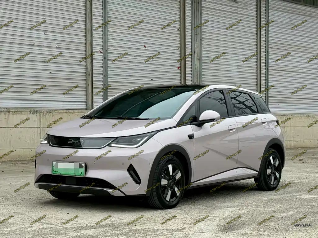BYD Dolphin 2025