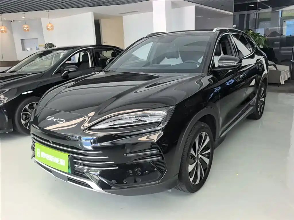 BYD PLUS New Energy 2024