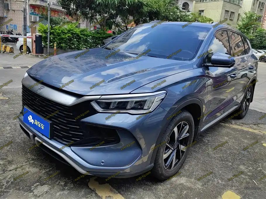 BYD Pro New Energy 2024