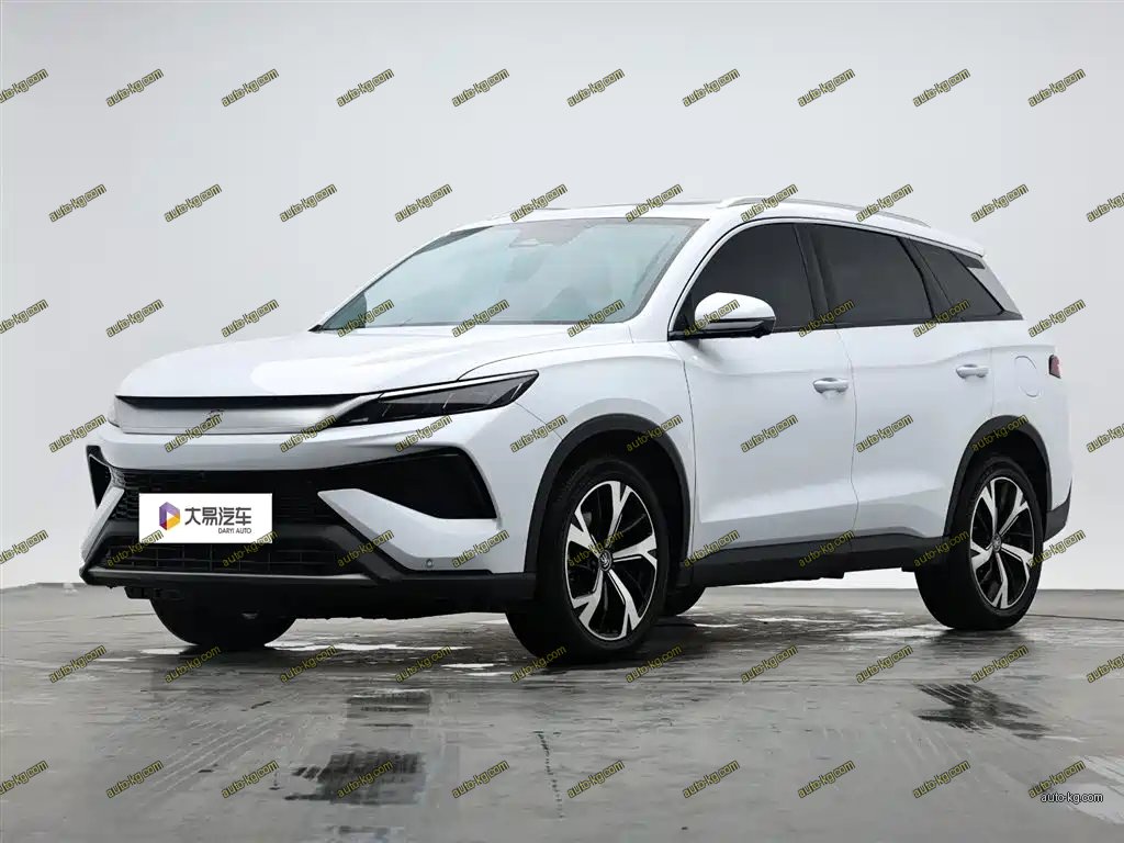 BYD Pro New Energy 2024