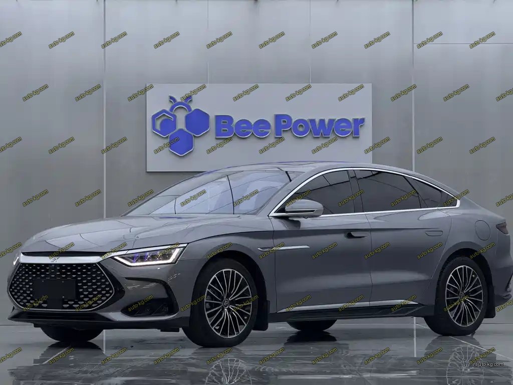 BYD Han 2022