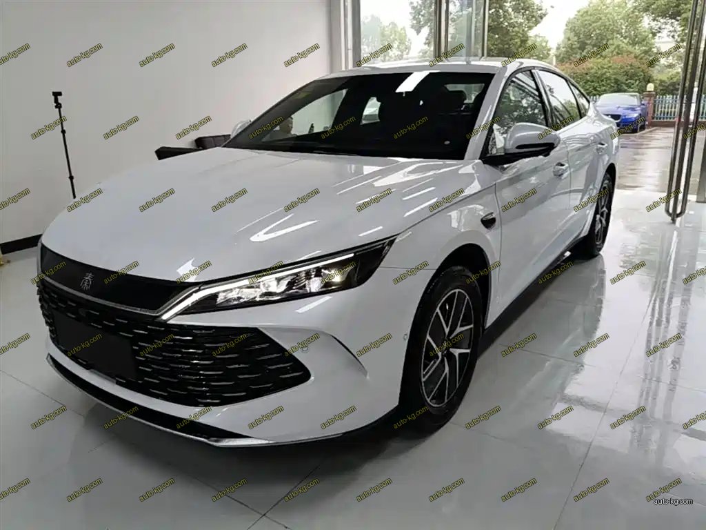 BYD Qin L 2026