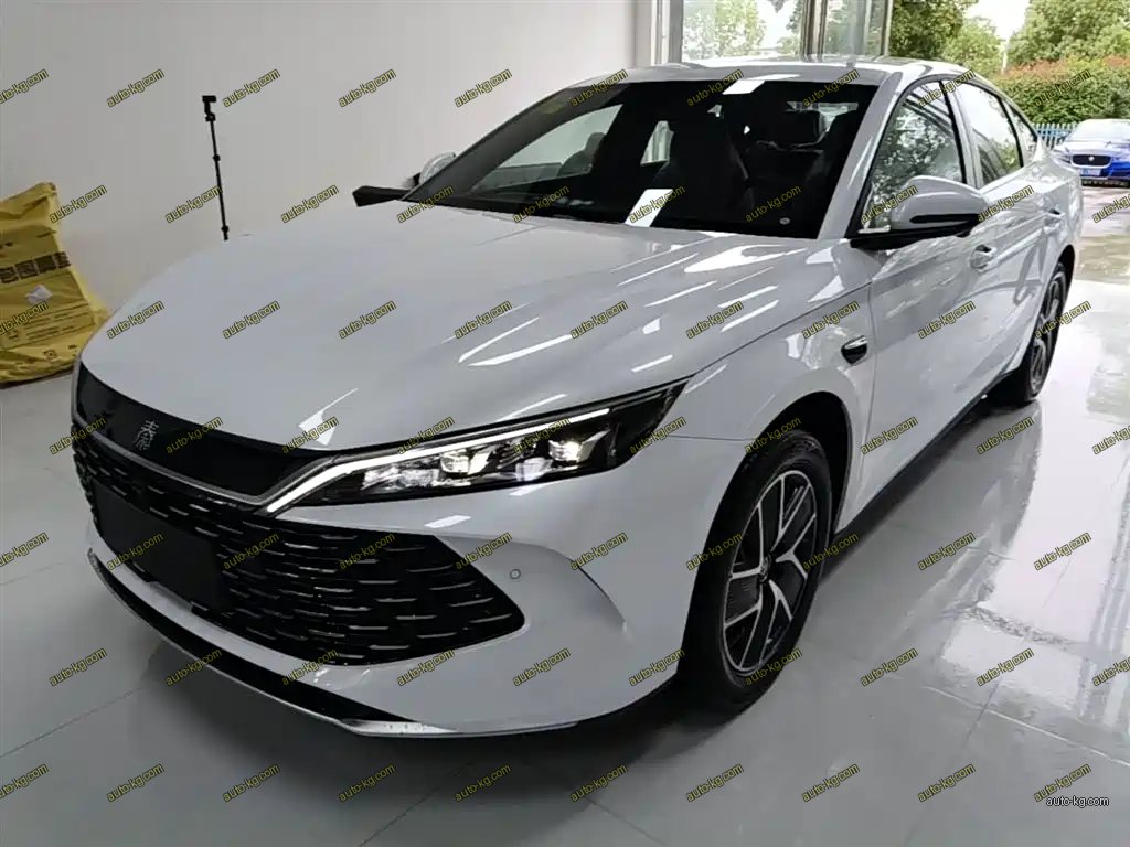BYD Qin L 2026