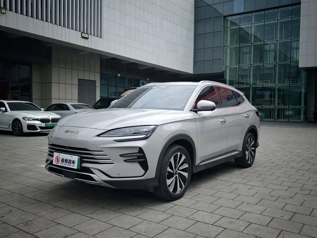 BYD PLUS New Energy 2024