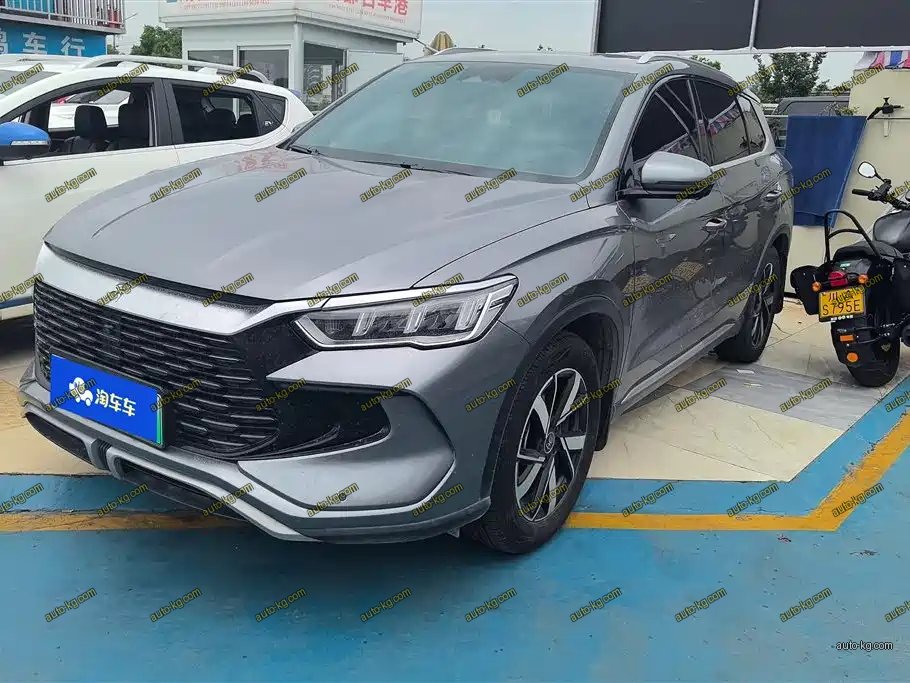 BYD Pro New Energy 2024