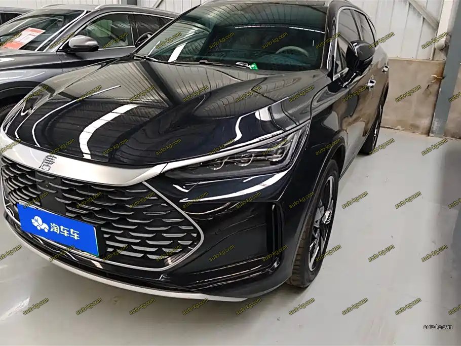 BYD Tang New Energy 2024