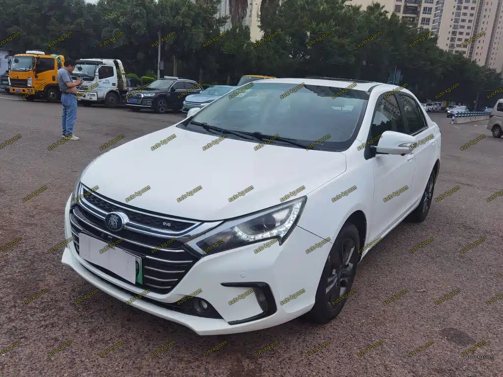 BYD Qin NEV 2018