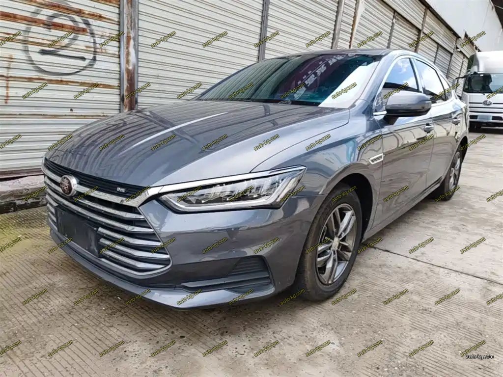 BYD Qin Pro 2019
