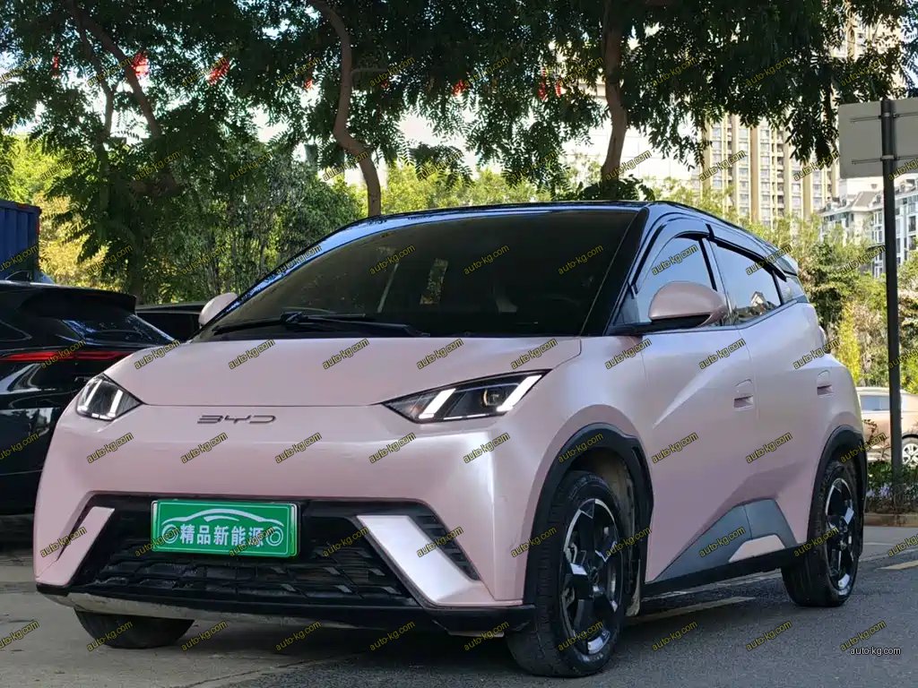 BYD Seagull 2023