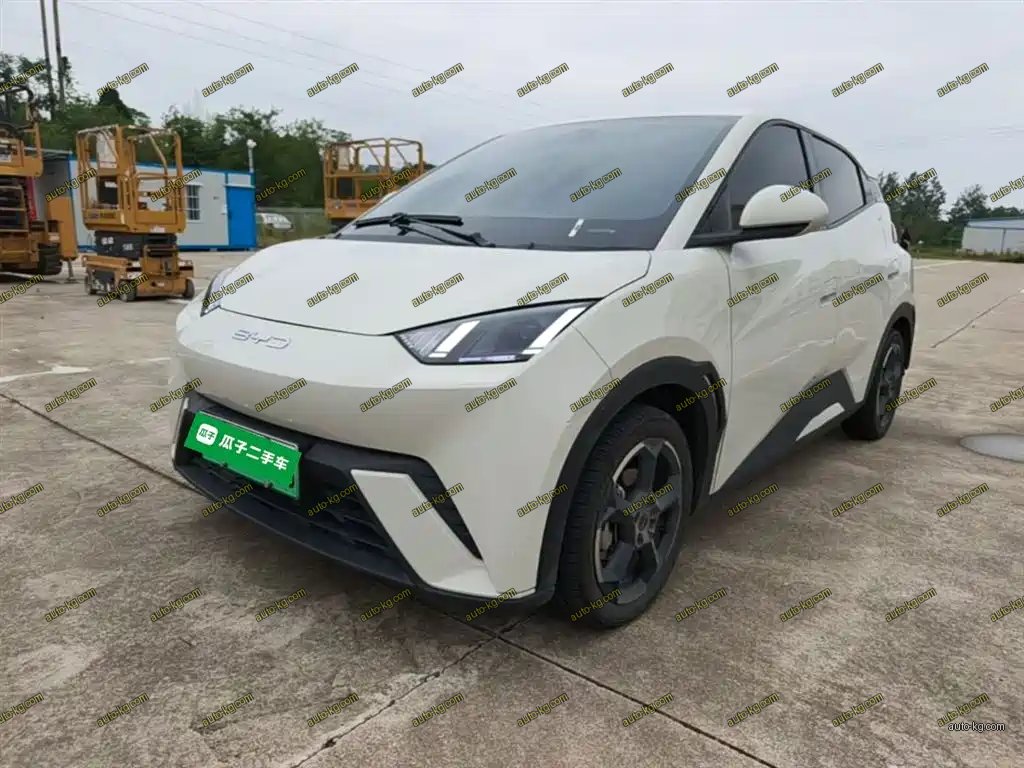 BYD Seagull 2024