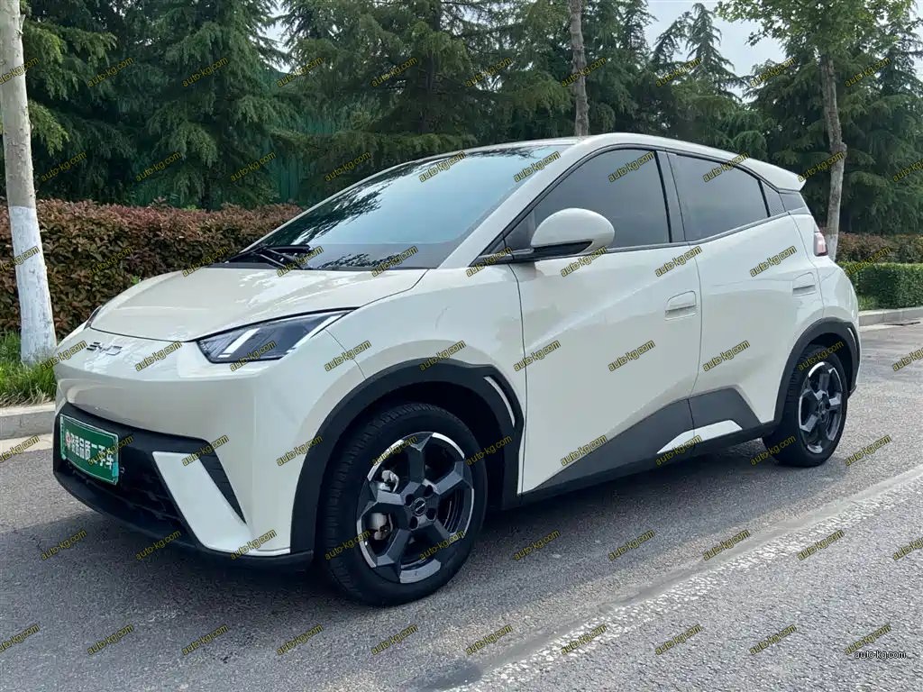 BYD Seagull 2023