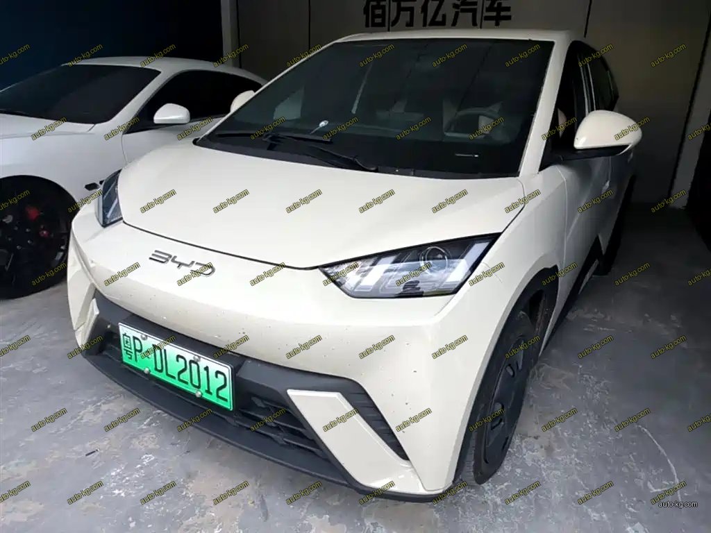 BYD Seagull 2024