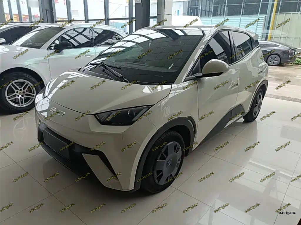 BYD Seagull 2024