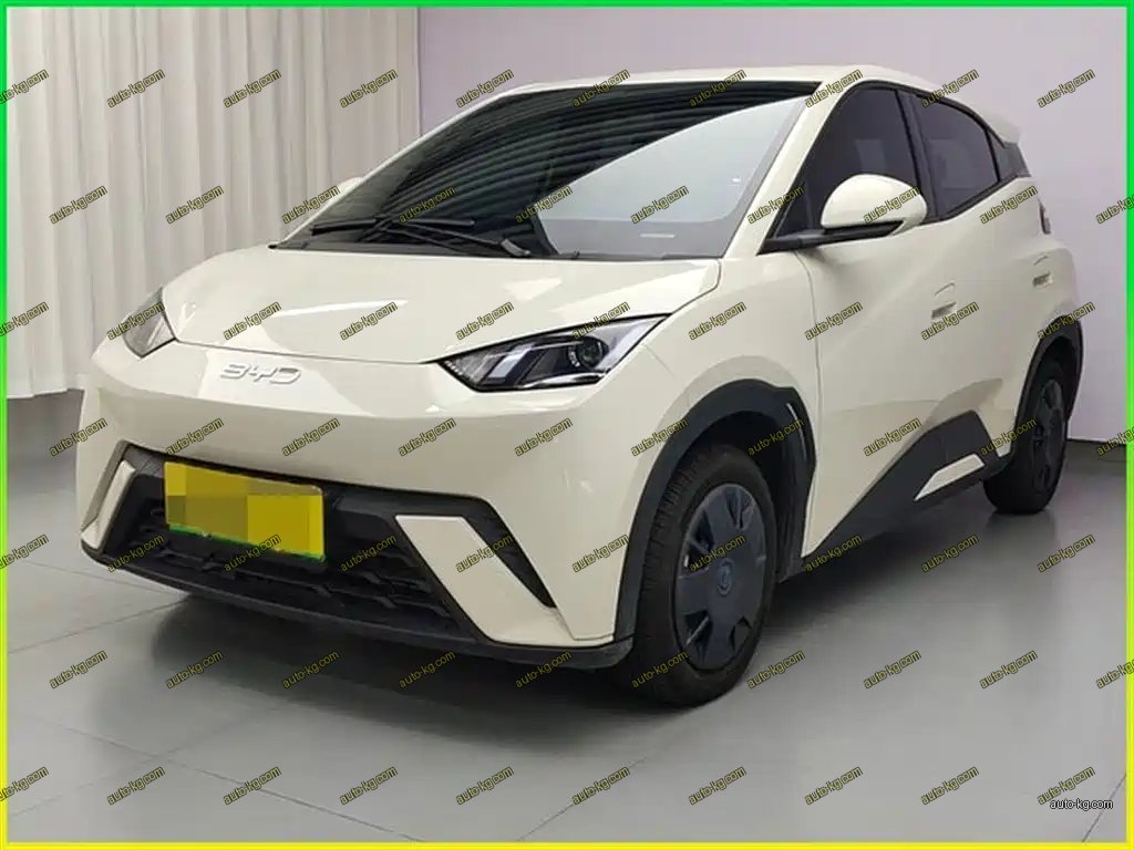 BYD Seagull 2024