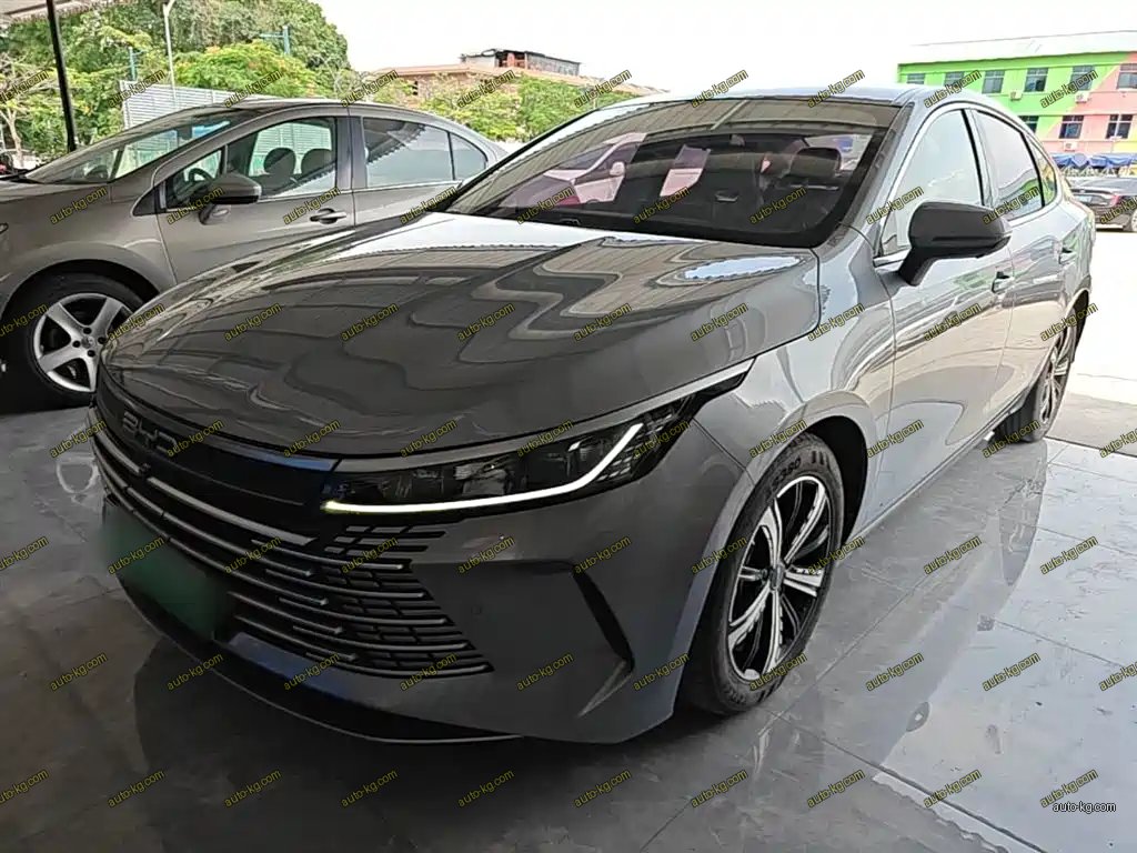 BYD Destroyer 05 2022