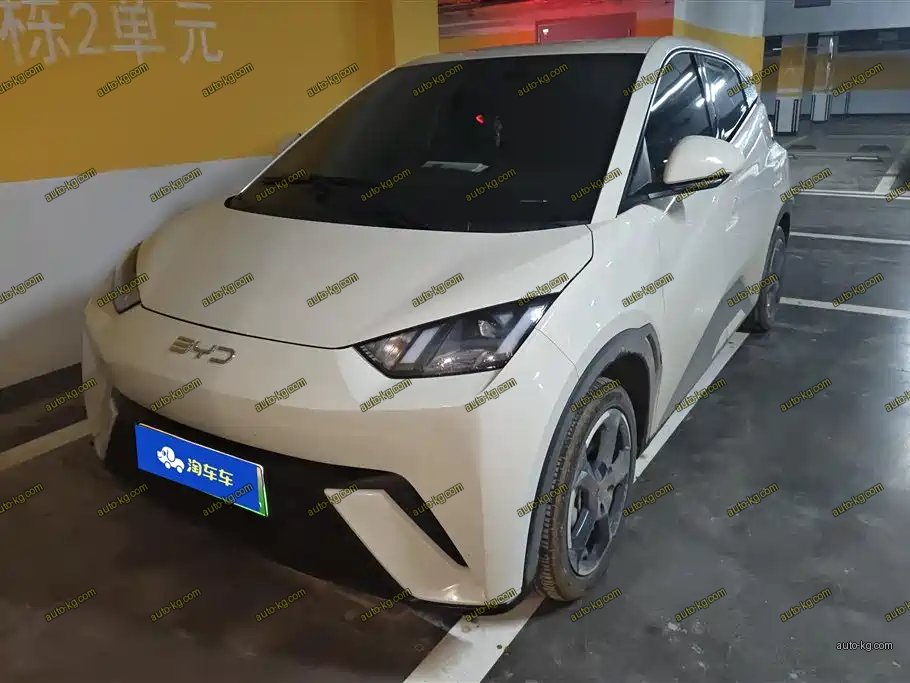BYD Seagull 2024