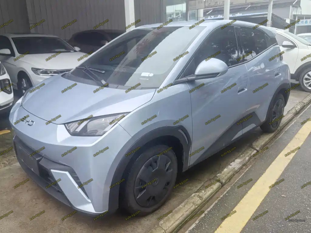 BYD Seagull 2025