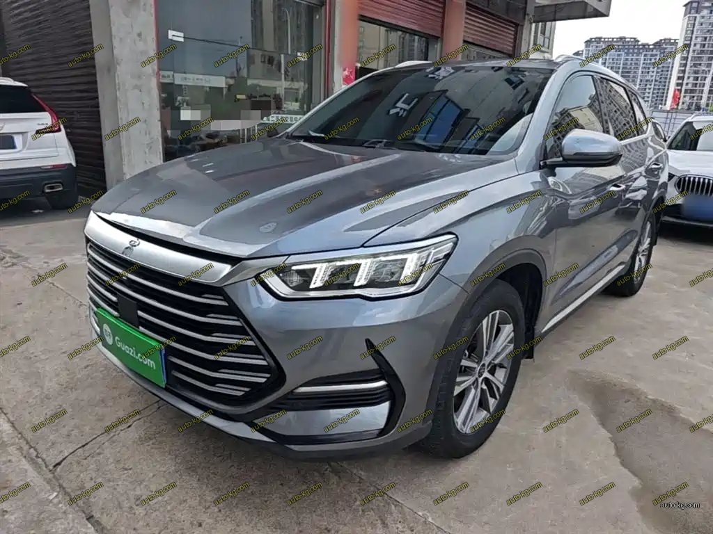 BYD Pro 2021