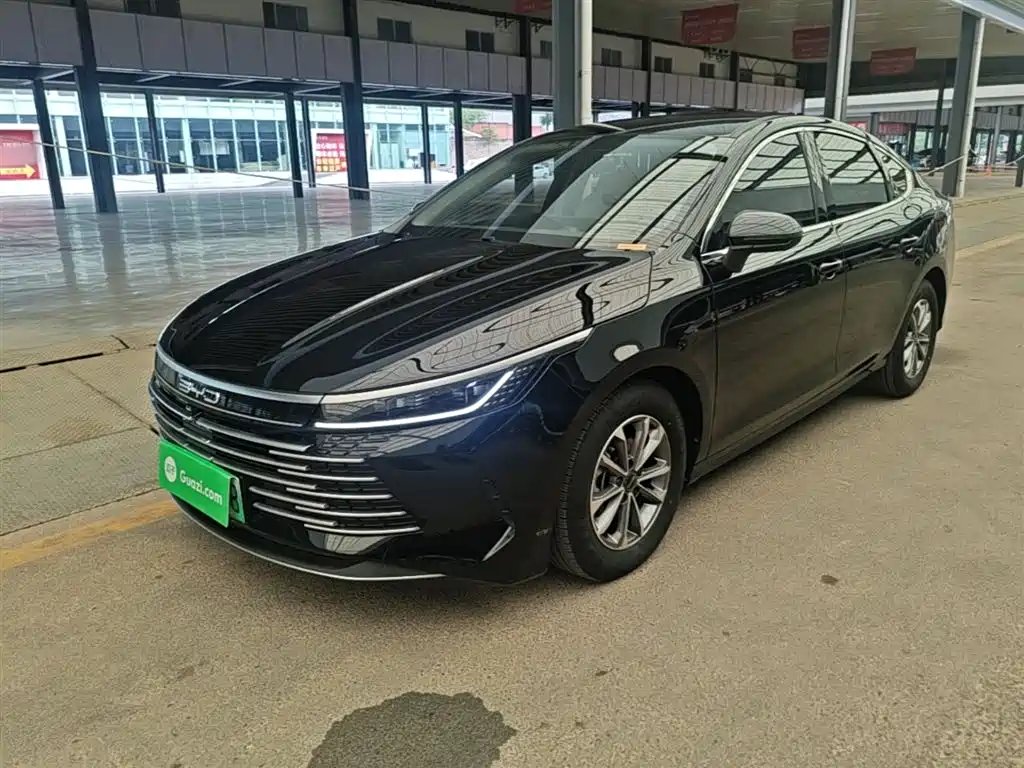 BYD Destroyer 05 2024