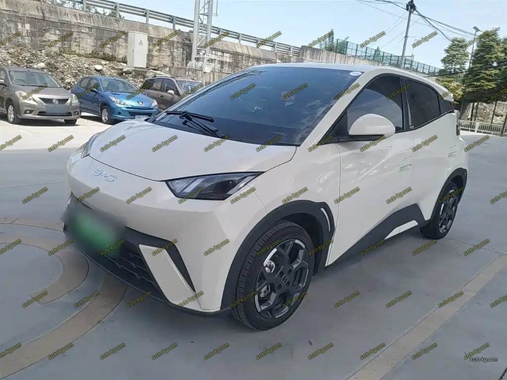BYD Seagull 2025