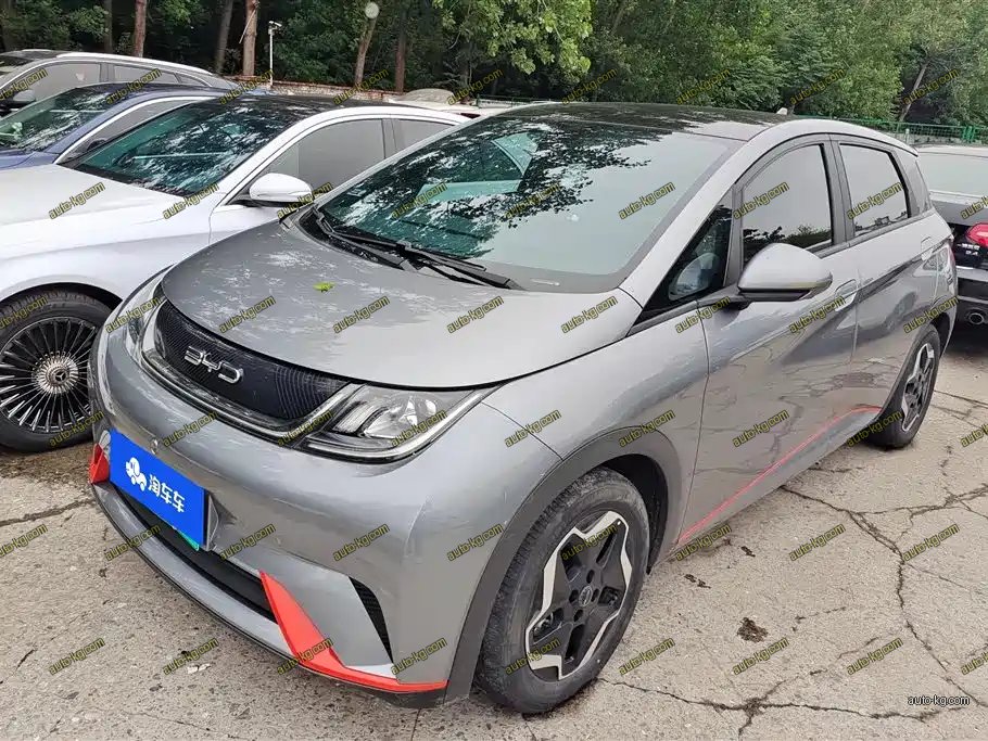 BYD Dolphin 2022